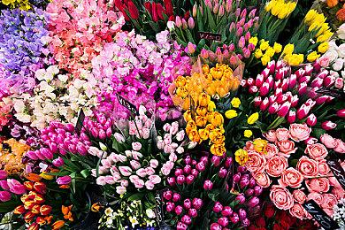 Switch版独立塔防游戏《最后的朋友》4月21日发售